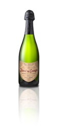 [1RFJC] JUVE % CAMPS RESERVA DE LA FAMILIA BRUT NATURE GRAN RESERVA ECOLOGICO